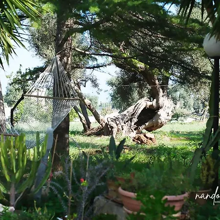 Masseria Giangrande - Rooms And Apartment Guest house Polignano a Mare