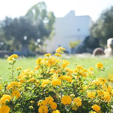 Masseria Giangrande - Rooms And Apartment Guest house *