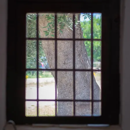Guest house Masseria Giangrande - Rooms And Apartment *