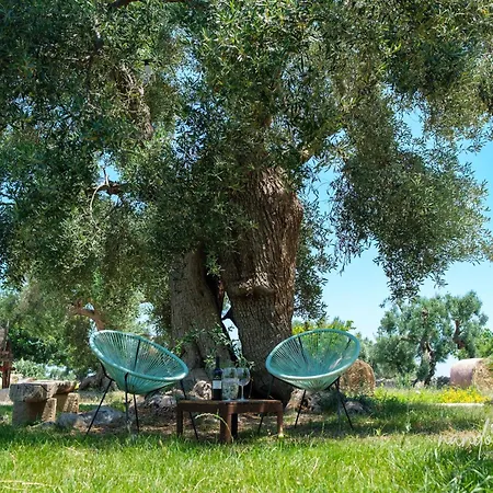 Guest house Masseria Giangrande - Rooms And Apartment